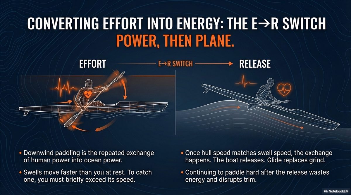 The E·R Switch