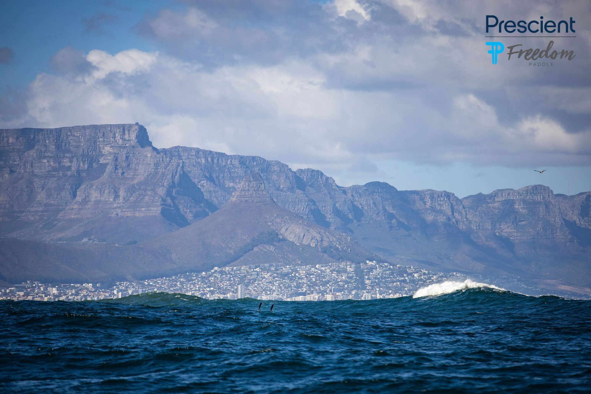 My First Ocean Race: Phola Siyaxolisa’s Freedom Paddle Story